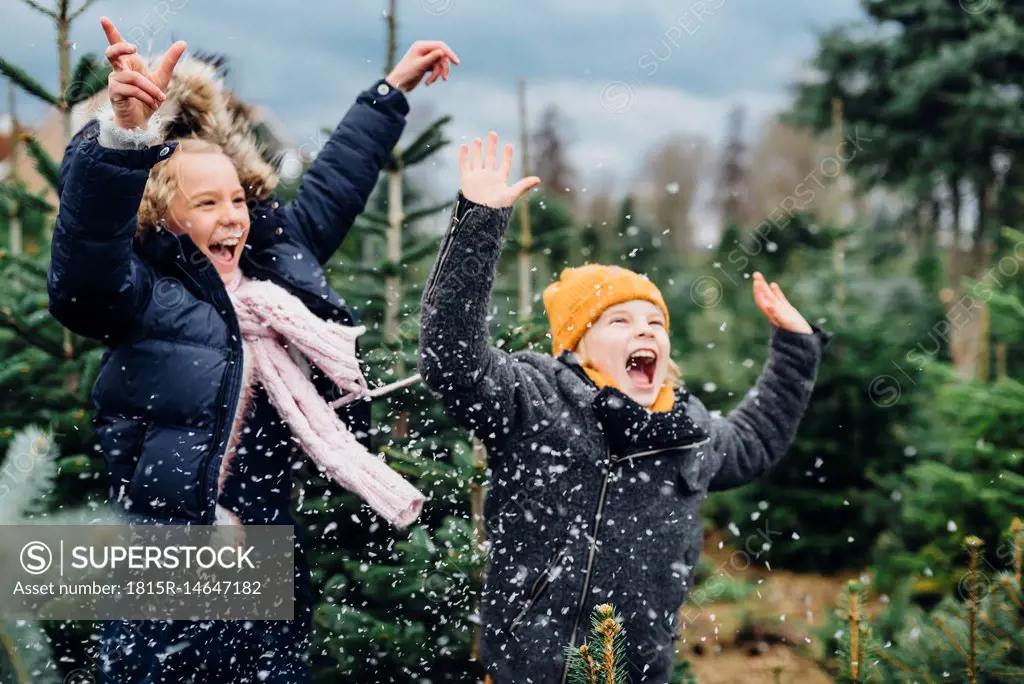 Brother and sister having fun with snow before Christmas