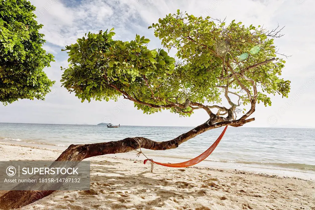 Thailand, Phi Phi Islands, Ko Phi Phi, hammock in a tree on the beach