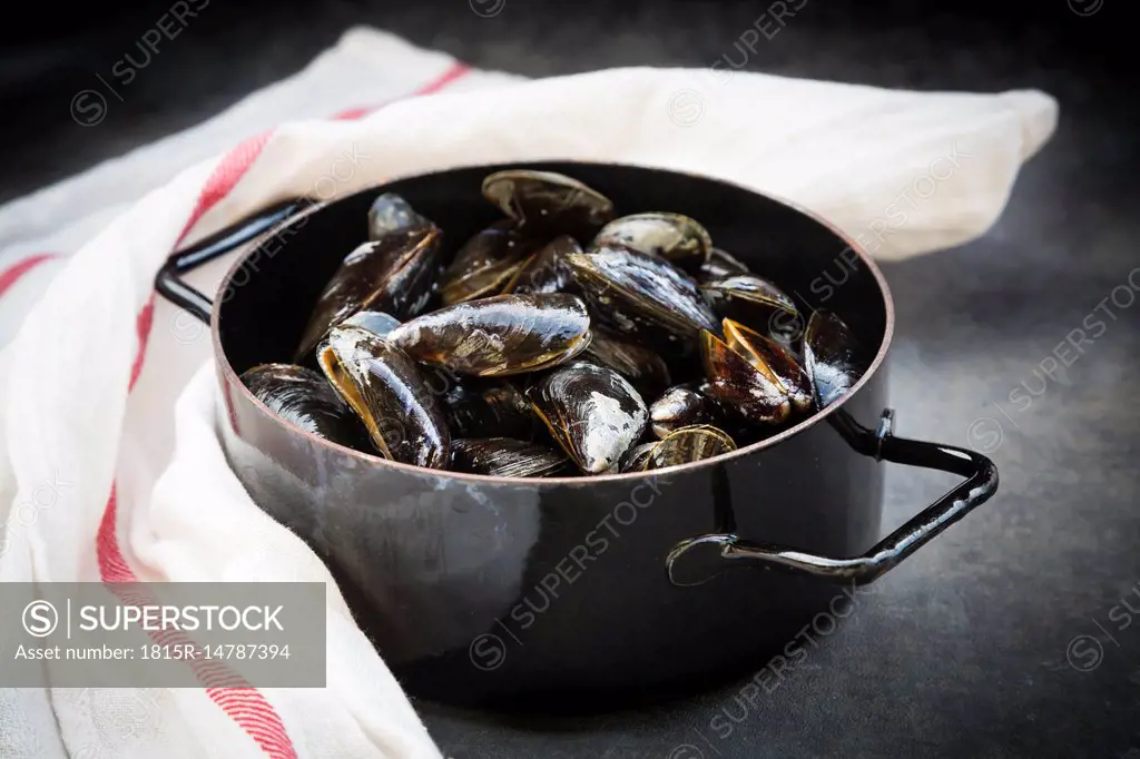 Organic blue mussels in cooking pot