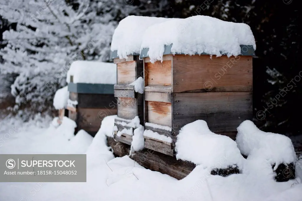 Germany, Snow-covered beehives on farm