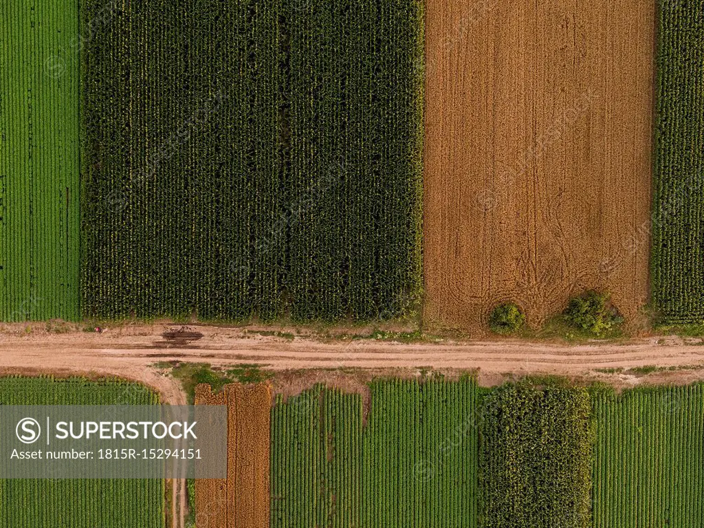 Serbia, Vojvodina, Aerial view of corn, wheat and soybean fields in the late summer afternoon