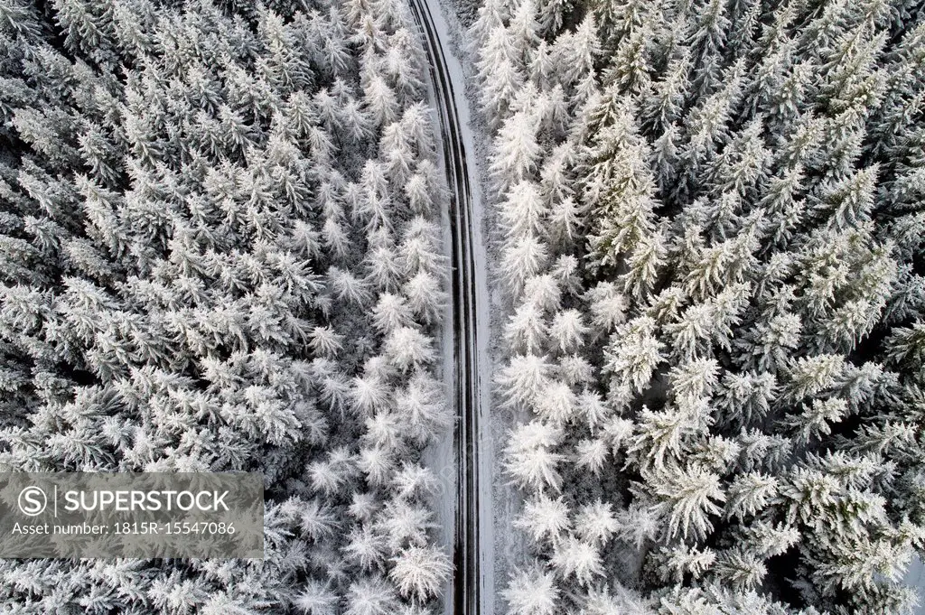 Scotland, snow on pine trees, empty road