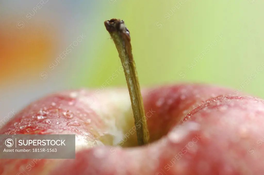 Extreme close up of apple