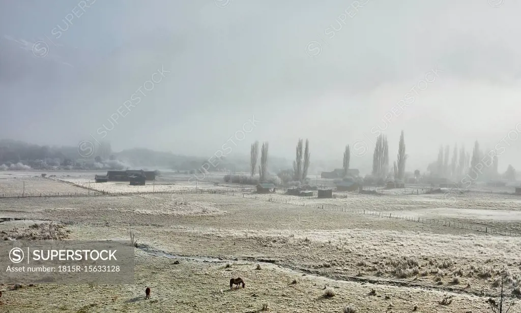 Argentina, Patagonia, Lake District, winterly farm landscape in fog