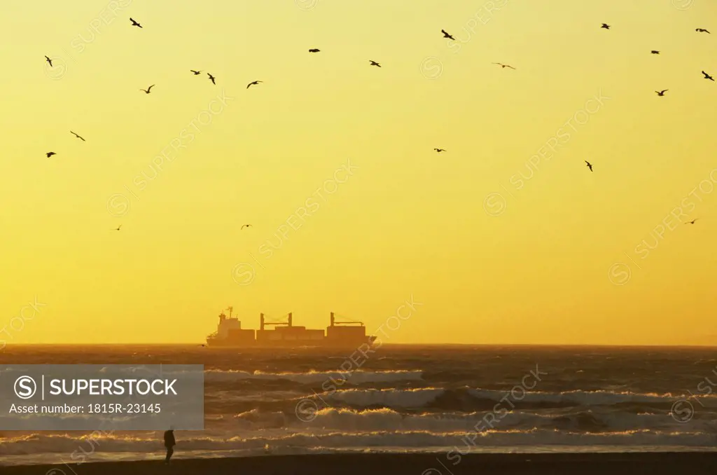 USA, California, San Francisco, ship in ocean at sunset