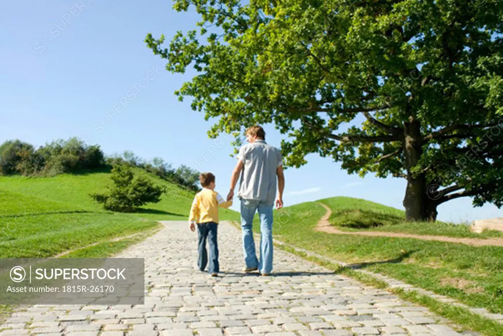 Father and son walking hand in hand, rear view