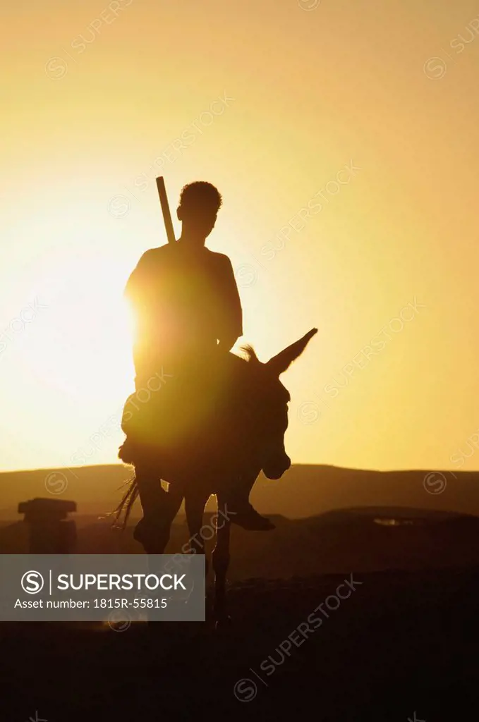 Egypt, Man sitting on donkey at sunset