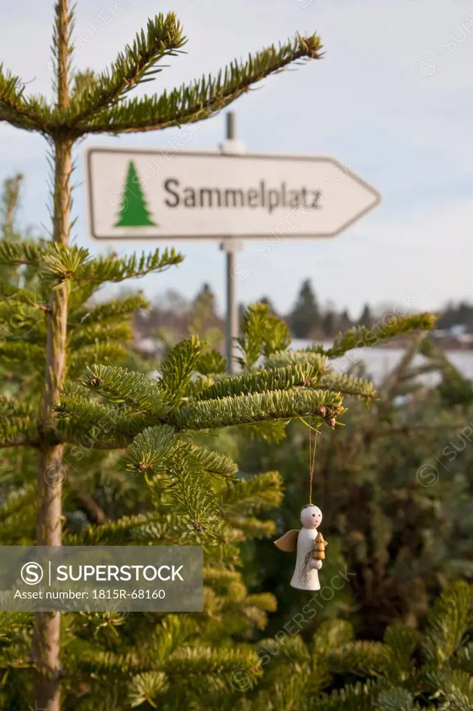 Germany, Stuttgart, Angel hanging to christmas tree with arrow sign in background