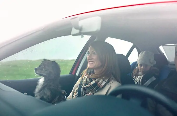 Happy family with small dog in car