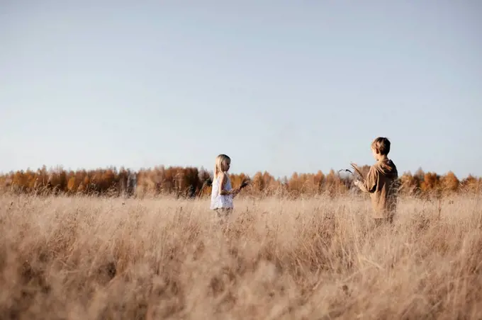 Sibblings collecting grasses on autumnal meadow