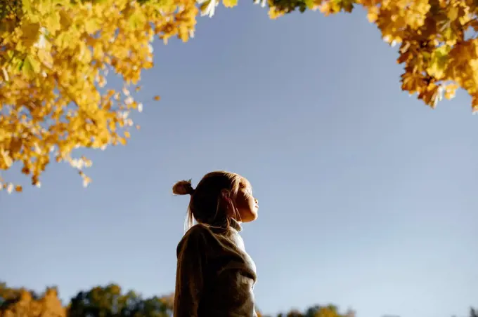 Little girl enjoying sunlight in autumn