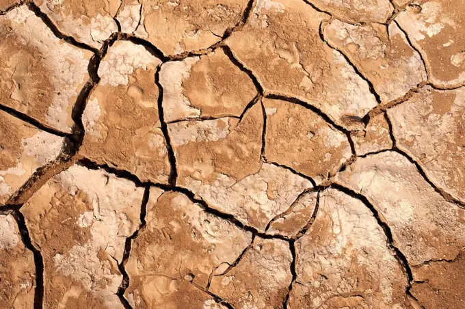 Cracked dry ground, Namib Province, Angola.