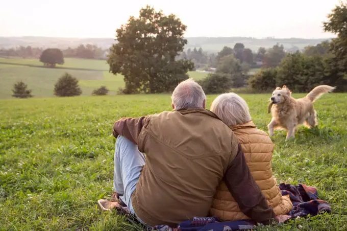 Back view of senior couple sitting on a meadow at sunset watching their dog playing