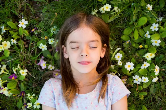 Portrait of girl lying on flower meadow, top view