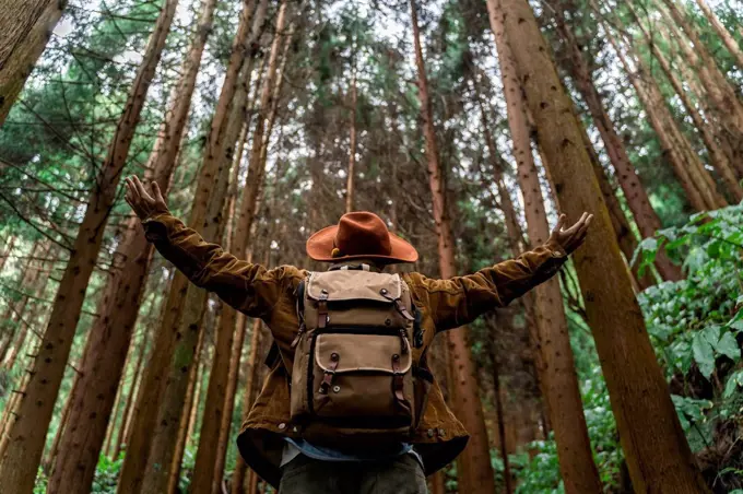 Man standing in forest surrounded by trees, Sao Miguel Island, Azores, Portugal