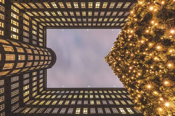 Germany, Hamburg, Directly below view of glowing Christmas tree and exterior of Sprinkenhof building