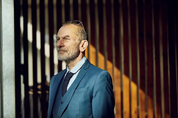 Senior businessman standing in his sustainable office, portrait