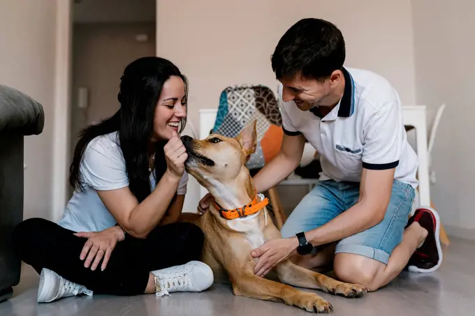 Couple playing with dog while sitting on floor at home