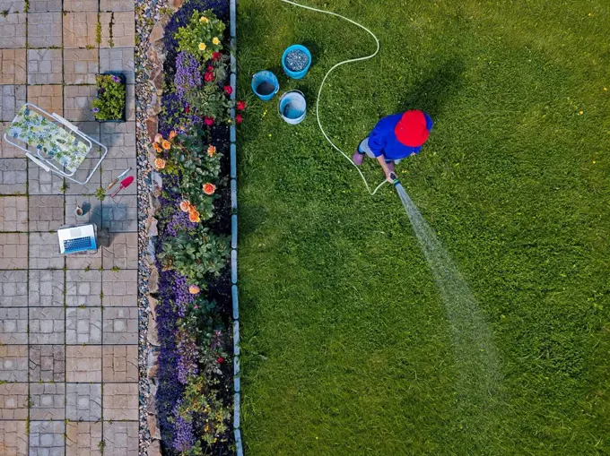 Aerial view of adult woman watering grass in backyard