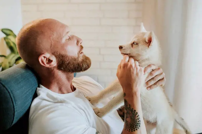 Man playing with Siberian husky puppy while sitting at home