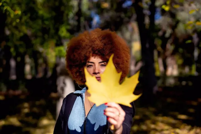 Beautiful young woman with frizzy hair showing autumn leaf on sunny day