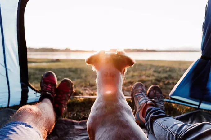 Legs of friends with dog relaxing in tent during sunset