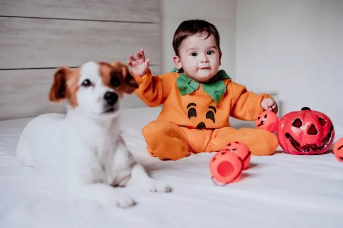 Baby boy wearing halloween costume sitting with dog on bed at home