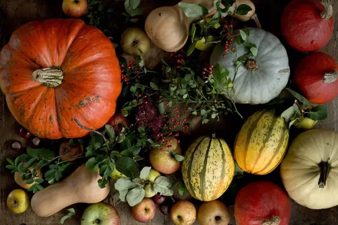 Still life of large variety of fresh pumpkins, squashes and other fruits