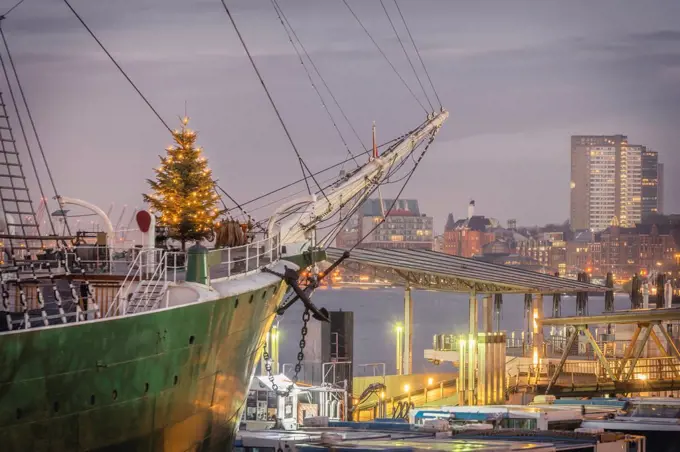 Germany, Hamburg, Christmas Tree on Museum Ship