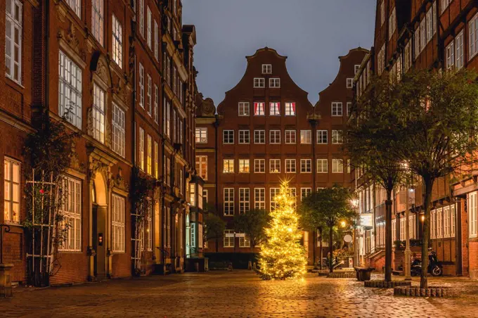 Germany, Hamburg, Christmas Tree on Peterstrasse in Composers Quarter