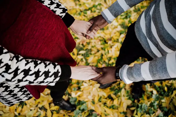 Multi ethnic couple holding hands while standing in park during autumn