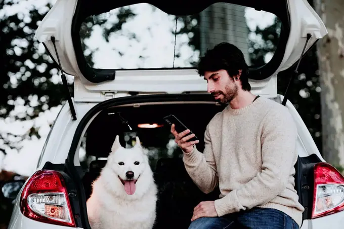 Mid adult man using mobile phone while sitting in car trunk at forest