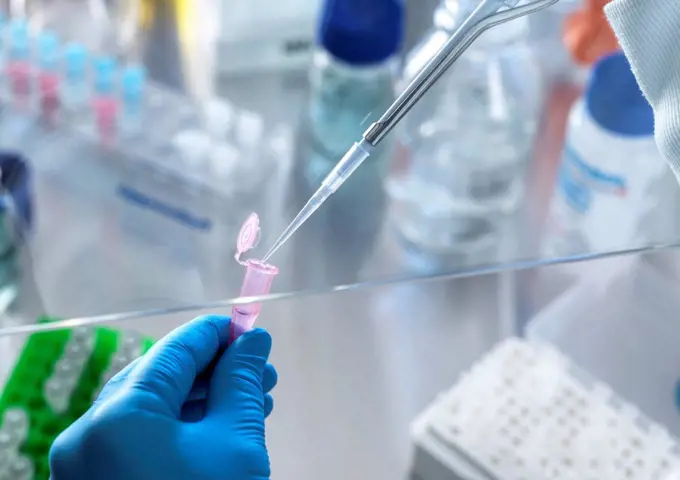 Scientist using pipette while doing research in laboratory