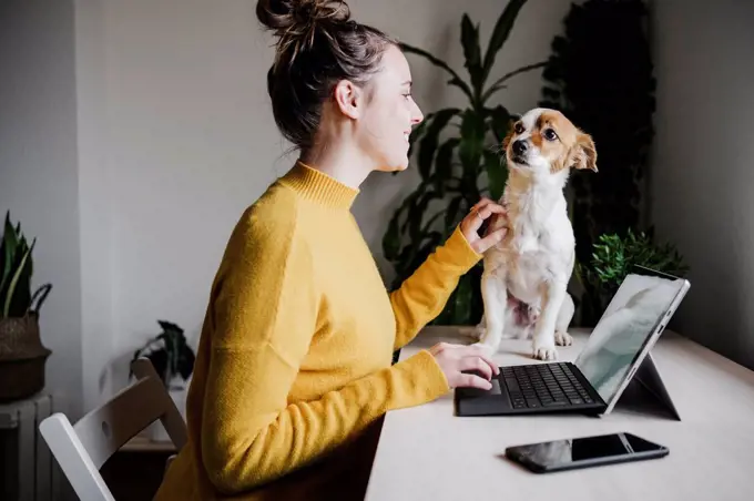 Smiling woman playing with pet while using digital tablet sitting at home