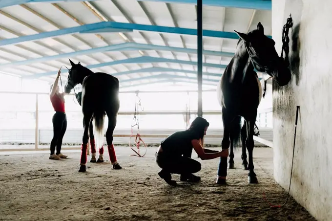 Woman wrapping bandage on horse's leg with female friend at stable