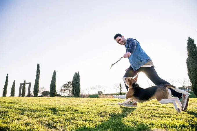 Man showing stick to dog while running on grass during sunny day