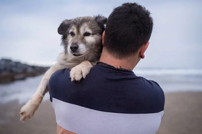 Man carrying dog at beach against sky