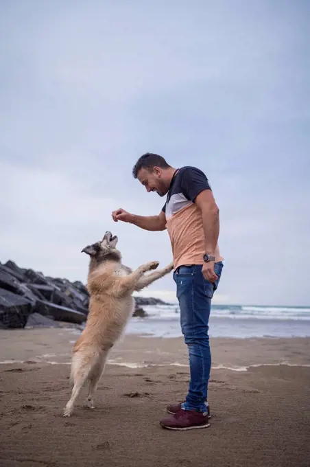 Mid adult man feeding dog while standing at beach against sky