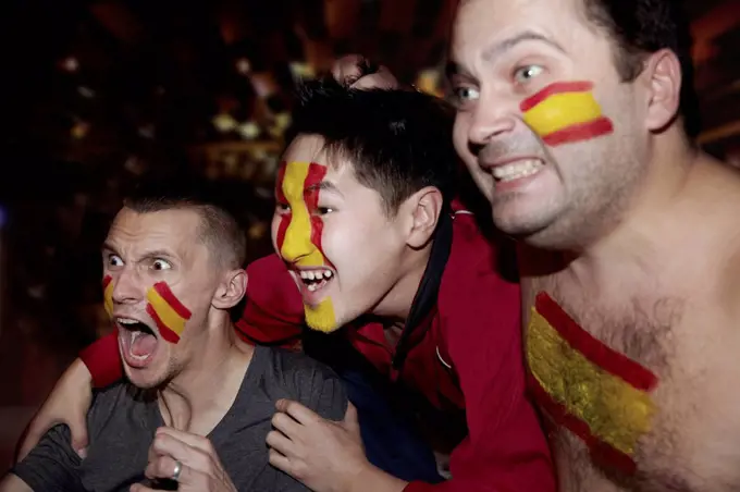 Soccer fans watching TV in pub