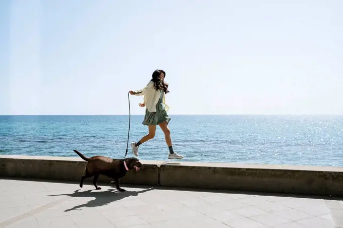 Mid adult woman walking with dog on retaining wall by sea