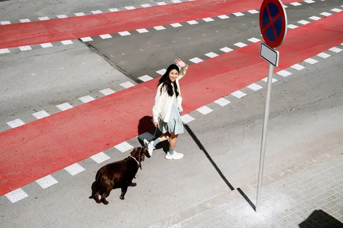 Smiling woman waving hand while crossing street with Labrador dog