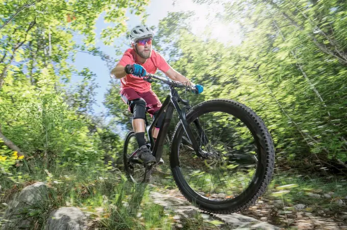 Man riding bicycle on footpath in forest