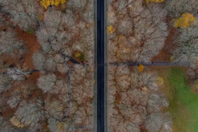 Sweden, Scania, Malmo, Aerial view of straight road cutting through Pildammsparken in autumn