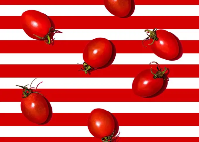 Studio shot of cherry tomatoes lying against white and red striped background