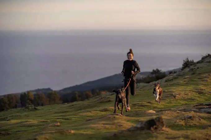 Female runner running with dogs in canicross style on hill