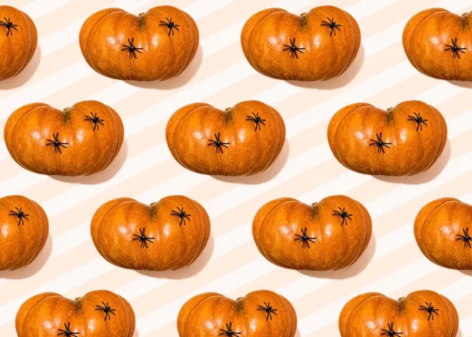 Halloween pattern of spiders crawling on raw pumpkins