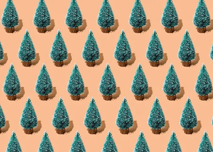 Pattern of rows of coniferous trees standing against beige background