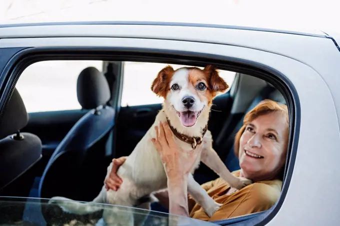 Woman looking at pet dog while sitting in car