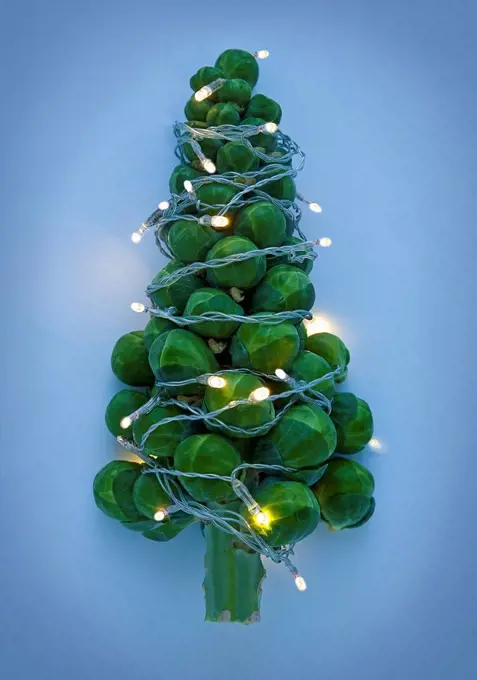 Christmas tree shaped Brussels sprouts wrapped in glowing Christmas lights