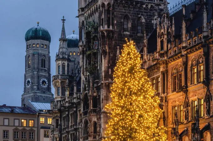 Germany, Bavaria, Munich, Christmas tree glowing on Marienplatz at dusk with Cathedral of Our Lady and town hall in background